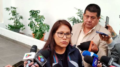 Evo Morales renunció al MAS pero su dimisión fue rechazada por el TSE