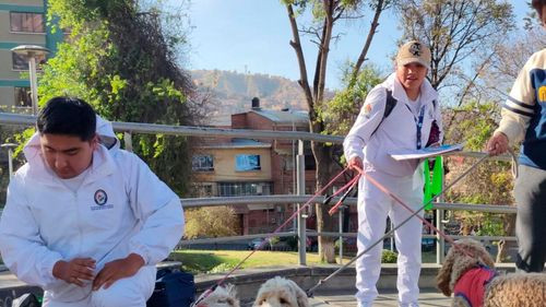 Ministerio de Salud anuncia jornada nacional de vacunación antirrábica para perros y gatos