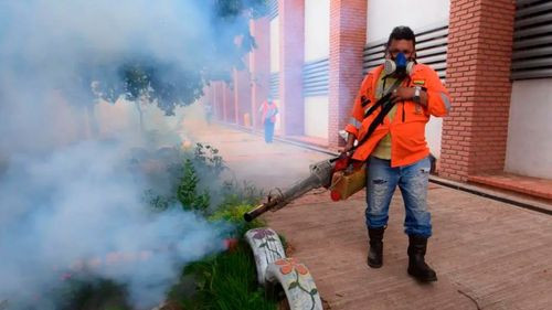 Santa Cruz confirma dos casos de chikungunya tras lluvias