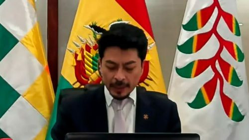 Aramayo pide a la OEA activar red policial para apoyar a Bolivia