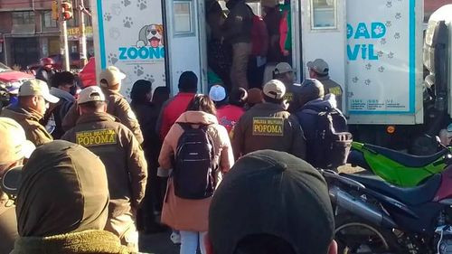 Más de 50 mascotas fueron rescatadas en operativo contra venta ilegal en feria de El Alto