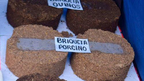 Estudiantes de Ingeniería en Zootecnia e Industria Pecuaria producen briquetas de ganado