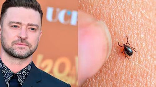 Qué es la enfermedad de Lyme que padece Justin Timberlake