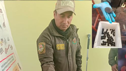 Rescatan 58 tortugas de río que eran vendidas ilegalmente en la feria 16 de Julio