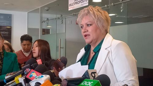 Diputada del PDC solicita informe  oral sobre calidad del combustible  importado