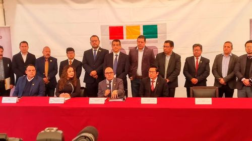 TSE plantea evaluar la Constitución