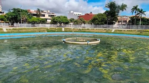 Vecinos denuncian deterioro de la laguna en el parque El Arenal