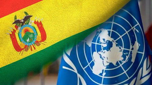 ONU plantea estrategia para que Bolivia reduzca sus altos índices de mortalidad materna