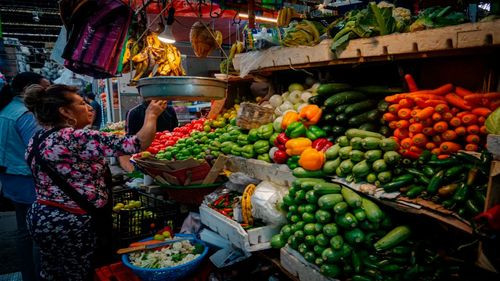 Heladas elevan el precio de verduras en Cochabamba, tomate alcanza hasta Bs 110 la caja