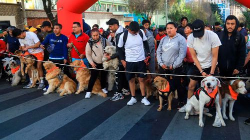 Cientos corren con sus perros en el gran  perrotón policial en la paz