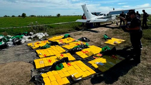 Exreina de belleza boliviana detenida en Argentina con 359 kilos de cocaína