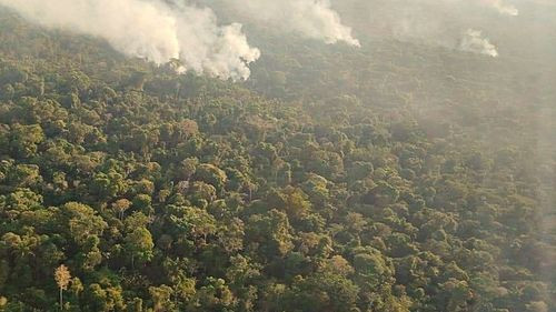 Nueve incendios forestales continúan activos en Santa Cruz y más de 229 mil hectáreas fueron afectadas