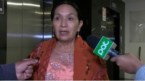 Diferencias internas en el PDC  frenan elección de comisiones  en el Senado