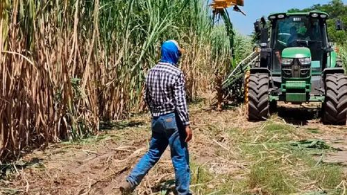 Cañeros exigen pago de Bs 300 millones por etanol y advierten con suspender el suministro