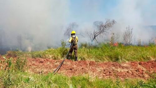 Más de 2.500 focos de calor encendieron las alertas: Santa Cruz concentra el 90% del total