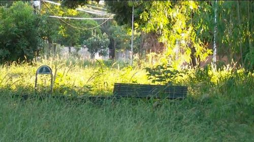 Maleza sin control genera  vecinal en la zona sur de Santa Cruz