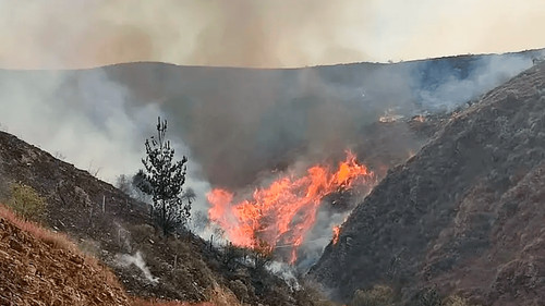 Incendio en la serranía del Sama podría extinguirse hasta el martes con apoyo del cambio climático