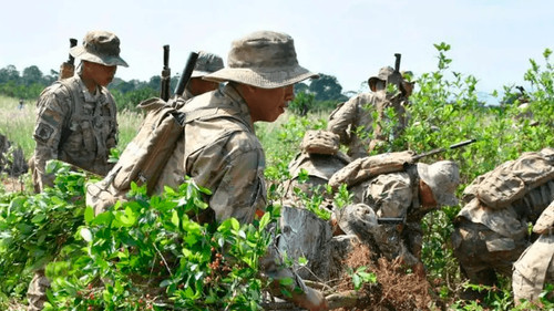 Cultivos de coca en Bolivia alcanzan 34.000 hectáreas en 2024, según informe de la Unodc