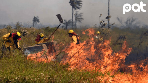 Bolivia perdió acceso a más de $us 100 mil millones en fondos COP