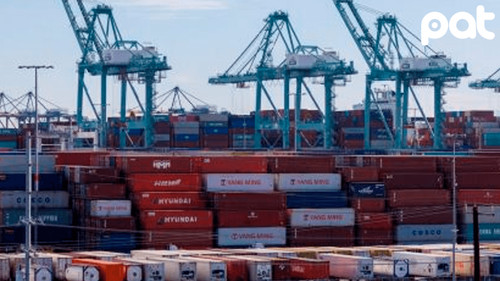 CADEX celebra la apertura del mercado de Egipto y pide más mercados