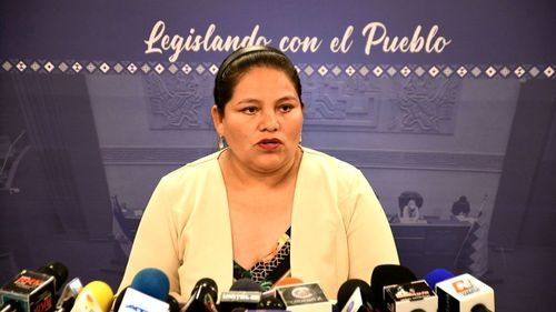 Deisy Choque destaca la &quot;profundización&quot; de la democracia en el MAS