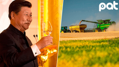 Guerra comercial: China deja de comprar soja a EE.UU