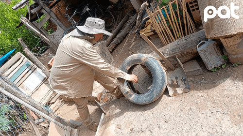 Alerta en Tarija por alta infestación de dengue