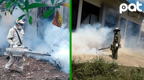 Santa Cruz lanza campaña de prevención por alto riesgo de dengue