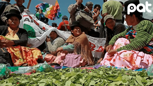 Evistas responden a insultos racistas y prometen enterrar al fascismo