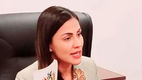  Diputada denuncia cambios en la cartografía electoral que favorecerían al MAS e interculturales  