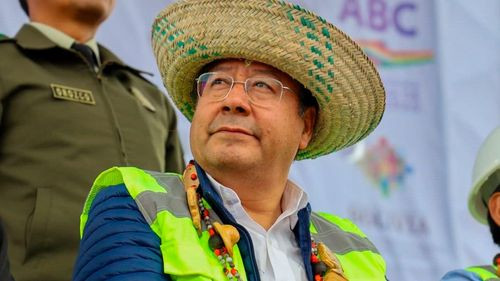 Prueba de ADN en causa por presunta paternidad de Luis Arce queda suspendida