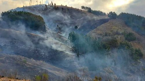 Incendio en Colomi moviliza a bomberos militares y voluntarios para sofocar las llamas