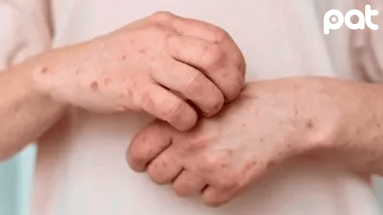 http://www.redpat.tv//uploads/web_5_85f20d99f9.png
