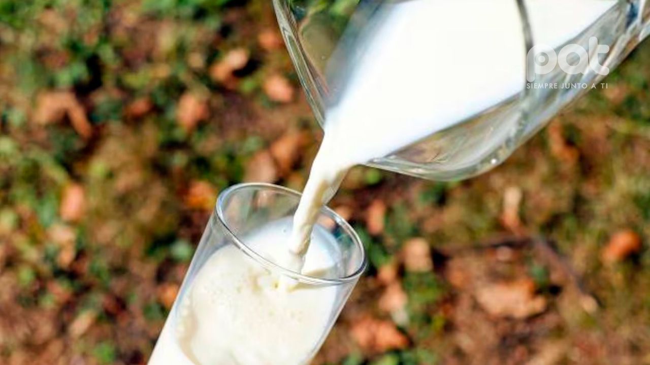LECHE.jpg
